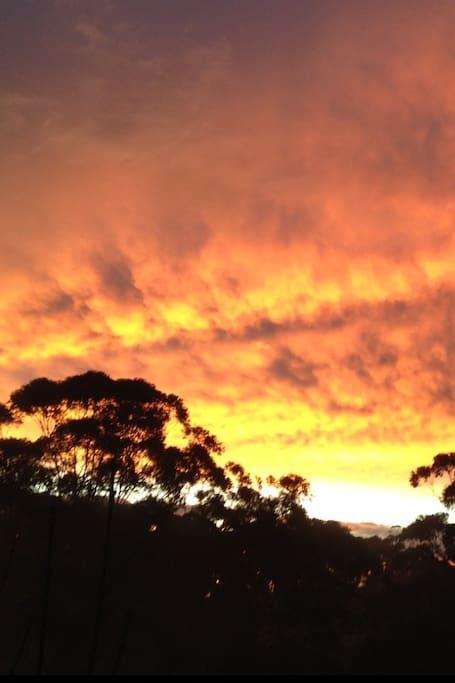Avoca Beach And Bush Εξωτερικό φωτογραφία